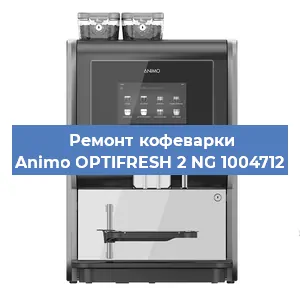 Замена прокладок на кофемашине Animo OPTIFRESH 2 NG 1004712 в Краснодаре
